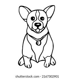 The dog is a corgi puppy with a collar, isolated on a white background.Vector illustration of an animal in the doodle style.