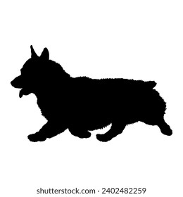 Hund Corgi läuft Silhouette Hochwertige Rassen Paket Hunde unterwegs. Hunde in verschiedenen Posen.
 springt, rennt. Der Hund sitzt. Der Hund liegt hin. Der Hund spielt