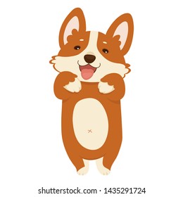 The dog Corgi stands on its hind legs. Color vector illustration. Isolated vector illustration for design, coloring, prints, posters.