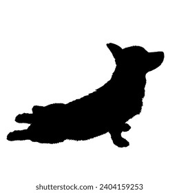 Dog Corgi stretches silhouette Breeds Bundle Dogs on the move. Dogs in different poses. High quality 
The dog jumps,  runs. sitting. The dog is lying down playing