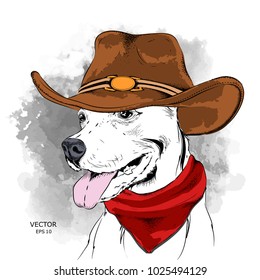 a dog in a cowboy hat. vector illustration