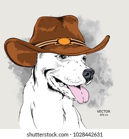 a dog in a cowboy hat. vector illustration