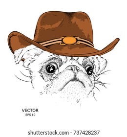 a dog in a cowboy hat. vector illustration