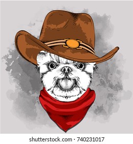 a dog in a cowboy hat. Yorkshire Terrier. Vector illustration