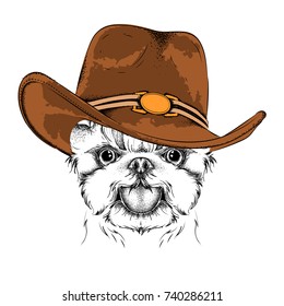 a dog in a cowboy hat. Yorkshire Terrier. Vector illustration