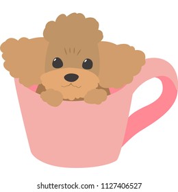 dog in cup (toy poodle)