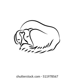 The dog is curled up  The outline the animal white background  Logo veterinary clinic  the dog is sleeping  Vector illustration