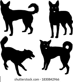 dog with curly tail and pointed ears playing and posing black silhouette vector on white background isolated