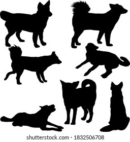 Dog With Curly Tail And Pointed Ears Does A Stand, Executes Commands To Sit And Lie Down Black Silhouette Vector On White Background Isolated