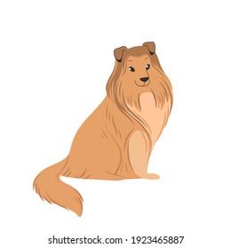 Сollie dog. Cute dog character. Vector illustration in cartoon style for poster, postcard.