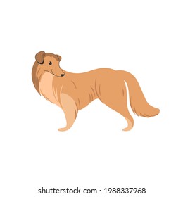 Сollie dog. Cute dog character. Vector illustration in cartoon style for poster, postcard.