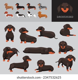 Dog Dachshund Brown Bicolor Chocolate Beige Coat Cartoon Vector Illustration Color Variation Set