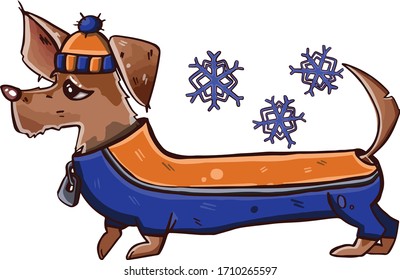 Dog dachshund in clothes. Hand drawn illustration 03