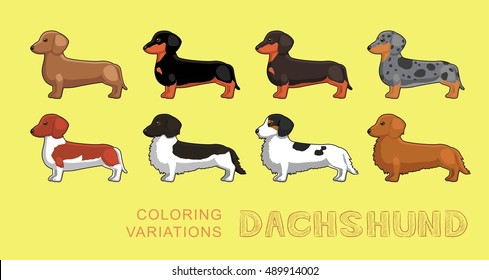 Dog Dachshund Coloring Variations Vector Illustration