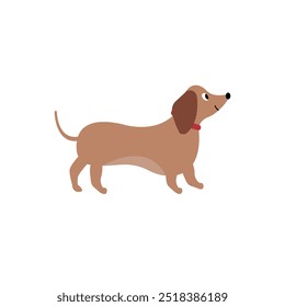 Dog dachshund cute. Vector Graphics