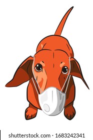 Dog dachshund in a medical mask to protect against viruses, dust. Red dachshund on a white background. Vector illustration