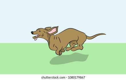 dog dachshund running, vector, nature