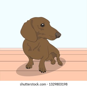 dog, dachshund is sitting in the room, brown vector in the room
