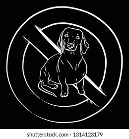 Dog. Dachshund. Stop Dog. White outline. Realistically Hand-drawn Dachshund. Transparent background. Vector illustration. 