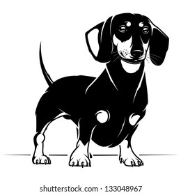 Dog Dachshund. Vector Illustration