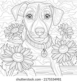 Dog with daisies. Jack russell terrier.Coloring book antistress for children and adults. Illustration isolated on white background. Zen-tangle style. Hand draw