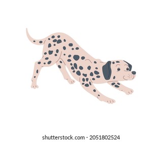 Dog dalmatian breed with pedigree. Funny cute pet animal in black spots, playful puppy. Flat cartoon vector illustration isolated on a white background. svg
