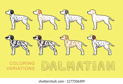 Dog Dalmatian Coloring Variations Vector Illustration