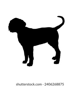 Dog  Dalmatian lies silhouette Breeds Bundle Dogs on the move. Dogs in different poses. jumps, the dog runs. The dog is sitting. The dog is lying down playing
