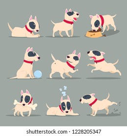 Perro en actividad diurna. Graciosa rutina diaria de cachorros de dibujos animados. Conjunto de caracteres vectoriales de animales de mascota de perro mate