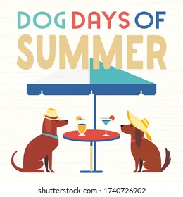 Dog days of Summer Time for adventure. Pets cute comic cartoon. Colorful humor retro style. Canine in sun hat enjoy beach leisure relax. Summertime vacation journey. Vector banner background template