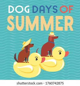 Dog days of Summer Time for adventure. Cute comic cartoon. Colorful humor retro style. Canine in sunglasses enjoy beach leisure relax. Summertime vacation journey. Vector banner background template