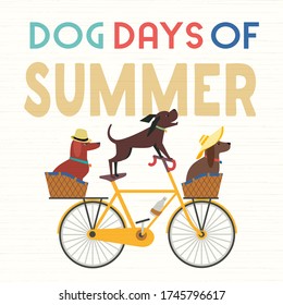 Dog days Summer Time. Cute comic cartoon. Colorful humor retro illustration. Cute pet dogs riding bicycle to enjoy beach leisure relax. Summertime vacation journey. Vector banner background template
