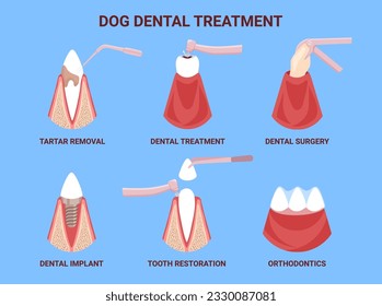 Zahnbehandlung des Hundes. Canine Stomatologie. Pflege- und Therapiezähne. Teer, Karies, Implantate, Restauration. Toths-Symbole. Vektorgrafik-Set