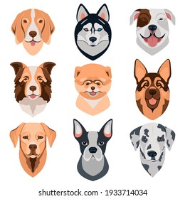 Dog different breeds head icons. Cartoon dog faces set. Vector illustration isolated on white. Doggy different breeds heads.