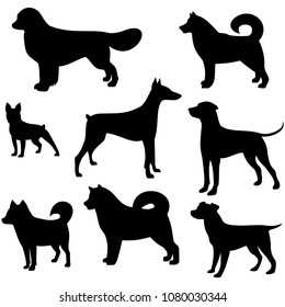 dog of different breeds, icons,vector illustration