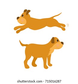 dog in different poses. puppy standing and running. on white. cartoon vector. editable layers