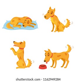 Dog in different states. Cartoon character set. Sleeping, gnawing bone, performing, eating. Vector illustration can be used for kindergarten, elementary school education