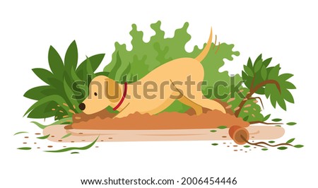 Dog Digging and Destroying Garden or Bury Something in Soil