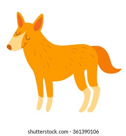 Dog dingo. Vector illustration, isolate on white  background