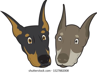 dog doberman character illustration animal