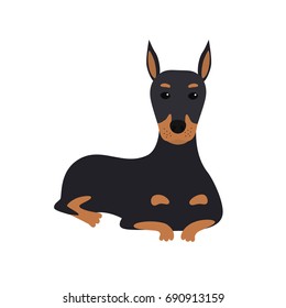 dog Doberman lies. Vector Illustration