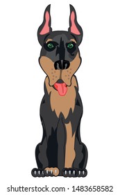 Dog doberman on white background  
