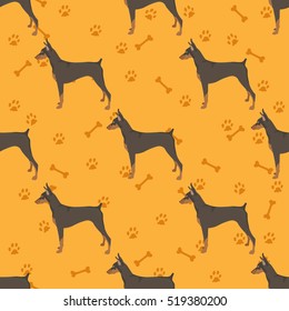  Dog Doberman Pinscher seamless pattern colorful with bones and foot prints 