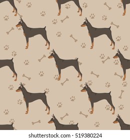  Dog Doberman Pinscher seamless pattern colorful with bones and foot prints 