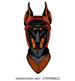 Dog, doberman. Portait of animal.