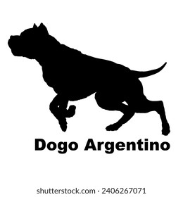 Hund Dogo Argentino Silhouette Breeds Paket Hunde auf dem Weg. Hunde in verschiedenen Posen.
Der Hund springt, der Hund rennt. Der Hund liegt herunter und spielt
