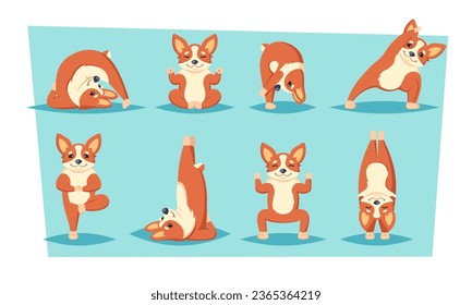 dog doing yoga. fitness funny happy animal ginger dogs character, sport exercises pilates concept. vector cartoon characters.