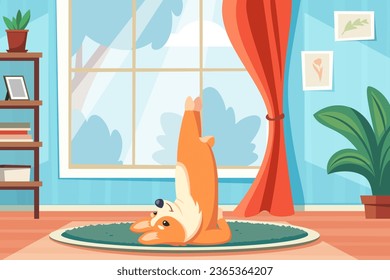 dog doing yoga. sport exercises pilates concept fitness funny happy animal dog doing fitness physical training. vector cartoon flat charcters in room background.