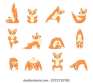 dog doing yoga. sport exercises pilates concept, fitness funny happy animal dogs character. vector cartoon characters collection.