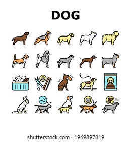 Dog Domestic Animal Collection Icons Set Vector. Yorkshire And Rottweiler, Beagle And French Bulldog, Golden Retriever And German Shepherd Dog Concept Linear Pictograms. Contour Illustrations